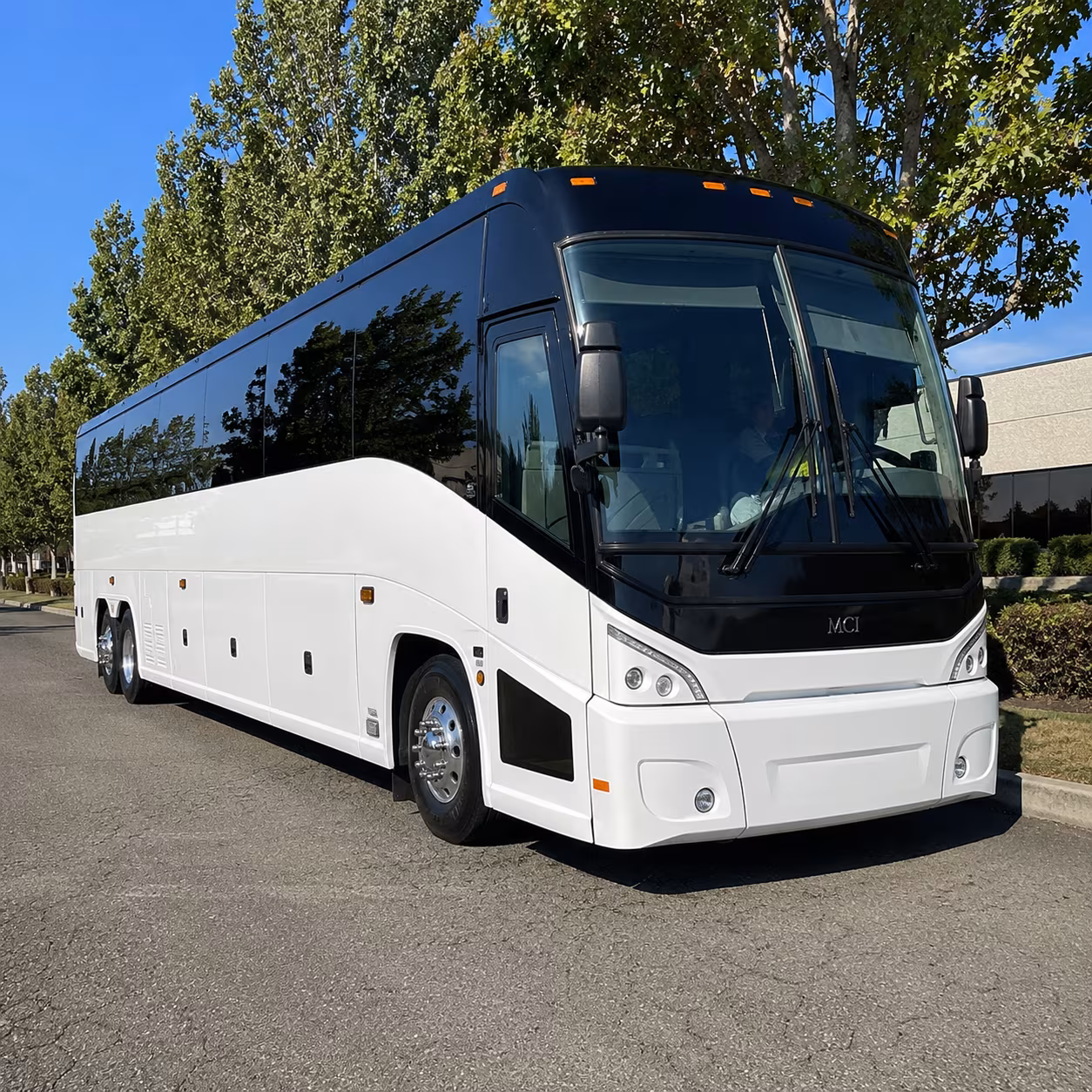flint 50 passenger charter bus